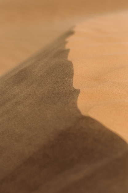 Photo désert avec des dunes de sable par une journée claire et ensoleillée. paysage désertique.