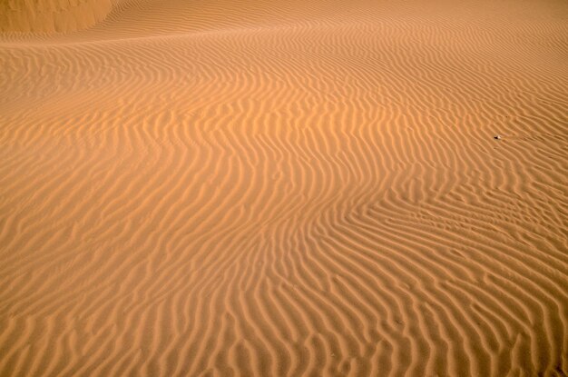 Désert de dunes de sable de texture dans l'île de Gran Canaria Espagne