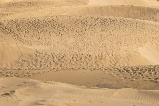 Désert de dunes de sable