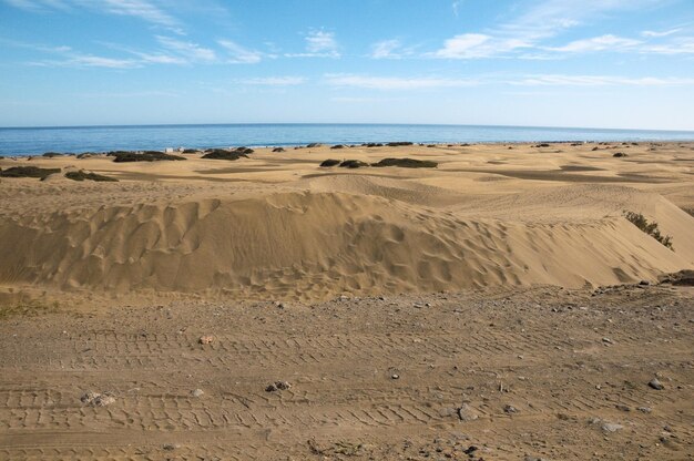 Désert de dunes de sable