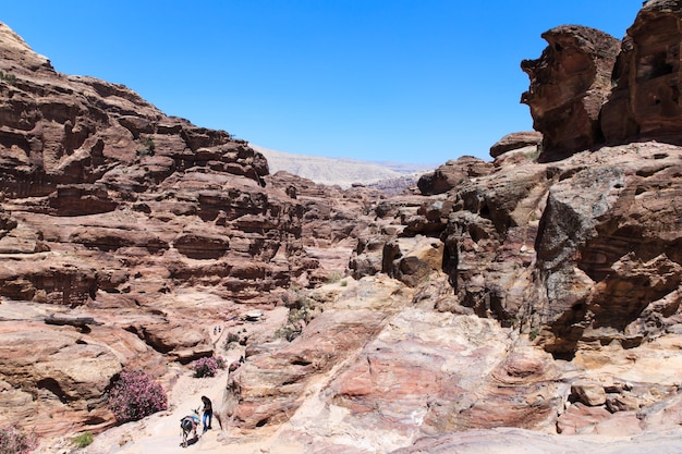 Désert jordanien à Petra