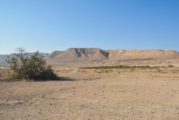 Désert de Judée à l'est d'Israël