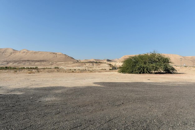 Désert de Judée en Israël