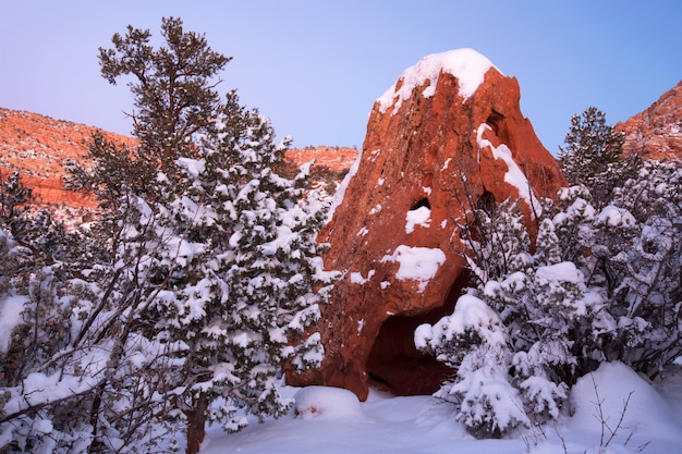 Désert, neige, creux, rocher, Arizona