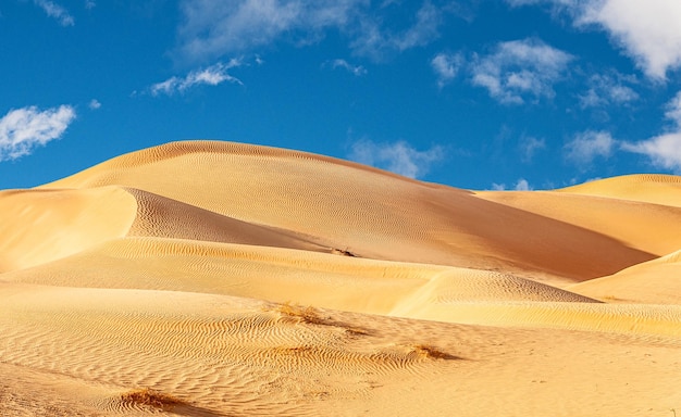 Le désert omanais Rub alChali en été