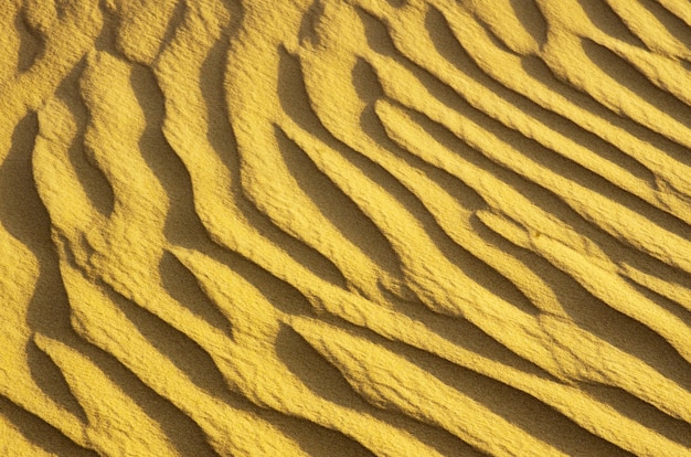 Désert d'or dans le coucher du soleil. Texture sable.