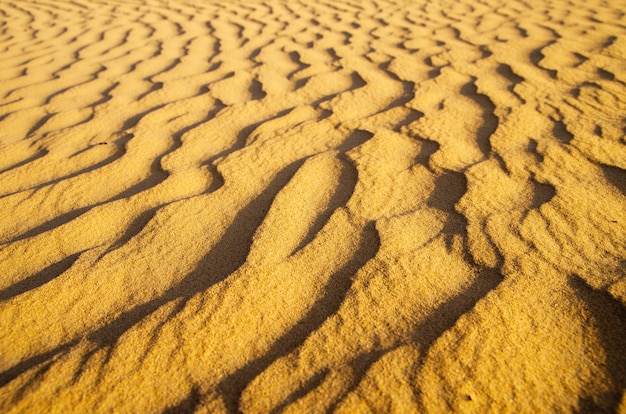 Désert d'or dans le coucher du soleil. Texture de sable.