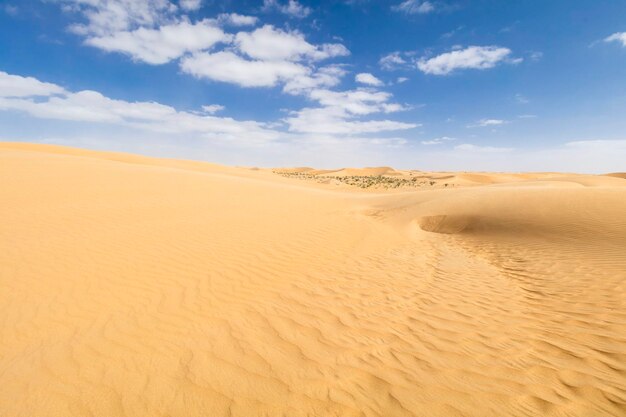 Désert de sable Beau paysage dans le désert marocain maroc