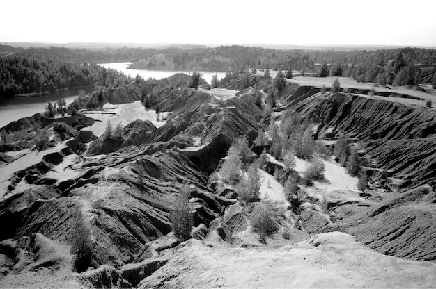 Désert de sable noir et blanc avec fond d'arbres multiples