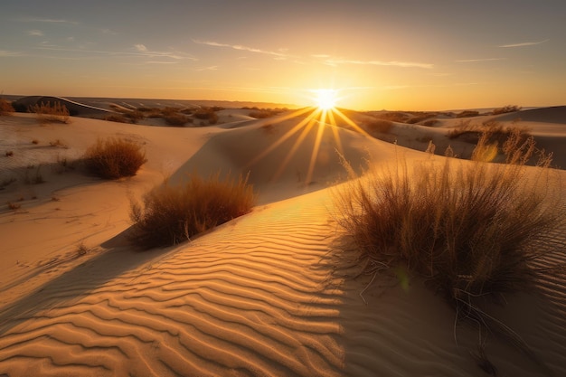 Désert avec le soleil se couchant derrière les dunes projetant une lueur chaude et dorée