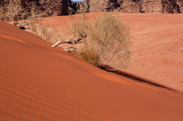 Photo désert de wadi rum en jordanie