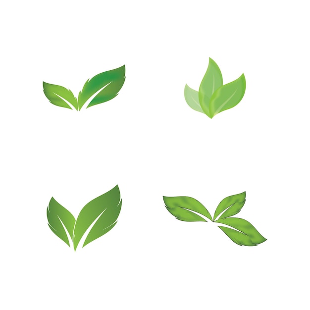 le design du modèle d'illustration vectorielle de l'icône du logo de la feuille