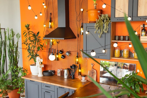 Design élégant de la cuisine de maison moderne dans le style loft et rustique dans des couleurs vives avec des plantes