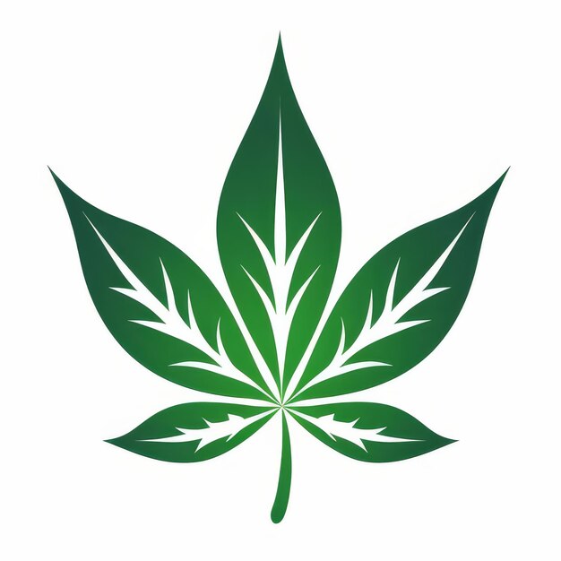 Photo design élégant de feuille de cannabis isolée sur blanc