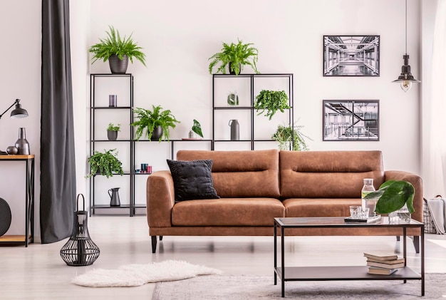 Design d'intérieur créé par un amoureux des plantes, différents types de laboureurs et de plantes sur une étagère en métal noir derrière un grand canapé en cuir confortable dans une maison élégante