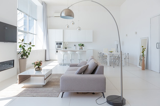 Design intérieur moderne de luxe confortable d'un studio dans des couleurs extra blanches avec des meubles coûteux à la mode dans un style minimaliste.