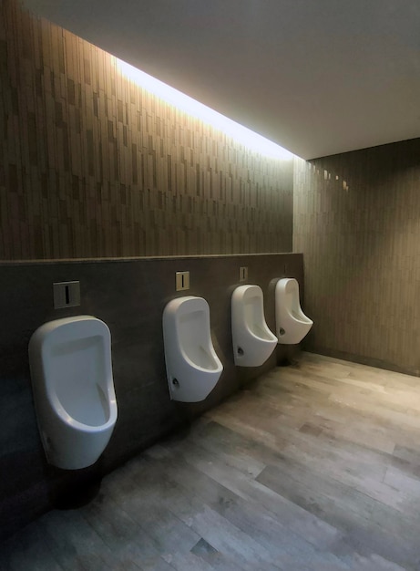 design d'intérieur de toilettes debout