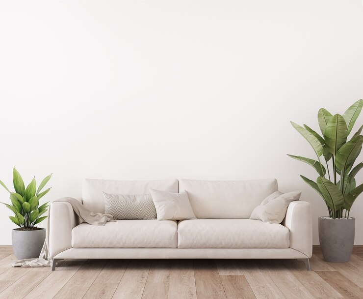 Photo design minimaliste de salon lumineux avec canapé blanc et plantes
