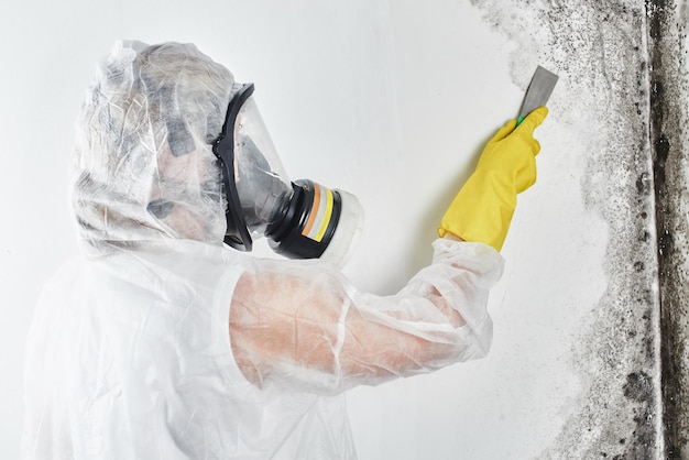 Un désinfecteur professionnel en salopette traite les murs du moule avec une spatule. Enlèvement des champignons noirs dans l'appartement et la maison. Aspergillus.