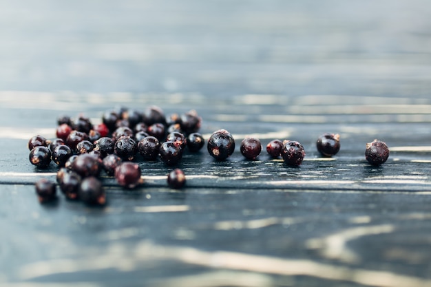 Dessert de baies de cassis d&#39;été.