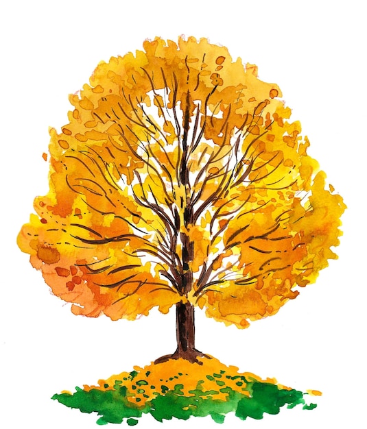 Un dessin à l'aquarelle d'un arbre avec une feuille jaune.