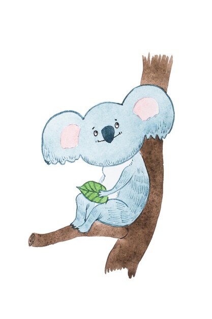 Dessin Aquarelle D'ours Koala Dessin Animé Rêveur Tenant Un Congé Assis Sur Une Branche D'arbre