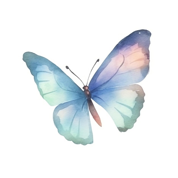 Un dessin à l'aquarelle d'un papillon bleu.