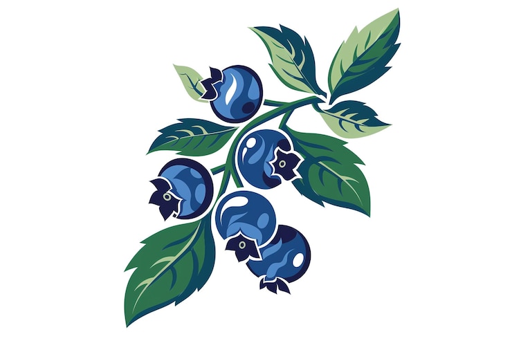 Photo un dessin de bleuets avec des feuilles et des baies