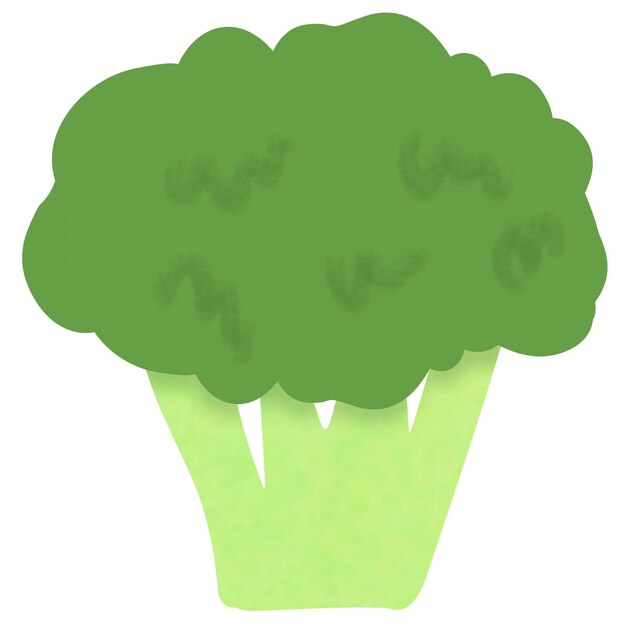 Photo dessin de brocoli isolé sur fond blanc