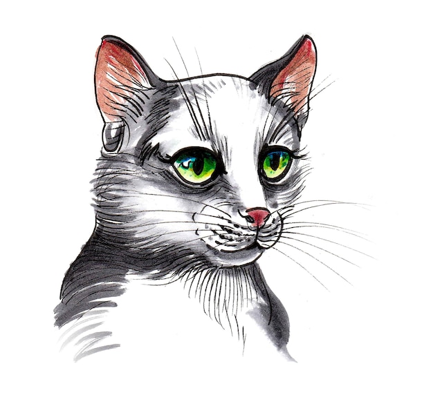 Un dessin d'un chat aux yeux verts et au nez noir.
