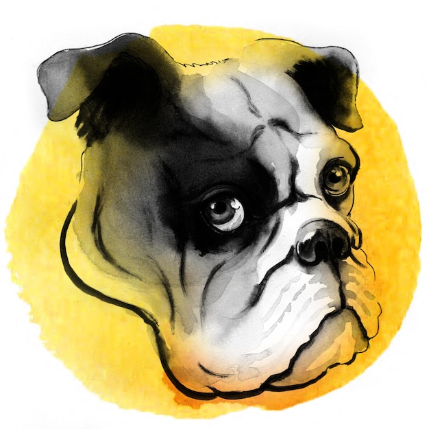 Un dessin d'un chien avec un fond jaune et des marques noires et blanches.