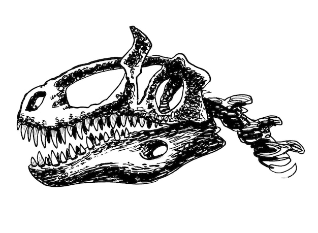 Un dessin d'un crâne avec le mot t - rex dessus.