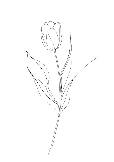 un dessin d'une fleur avec un dessin en ligne d'une tulipe