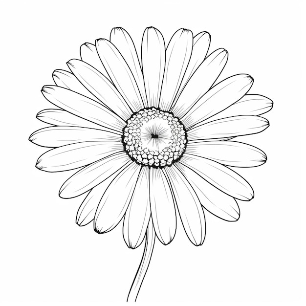Photo un dessin d'une fleur de marguerite avec un fond blanc