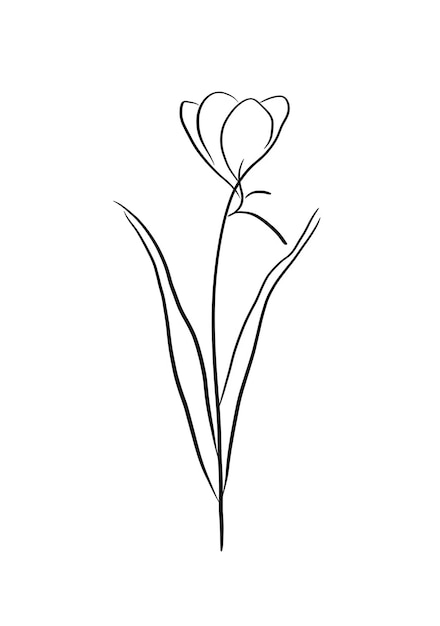 un dessin d'une fleur qui a le mot tulipes dessus
