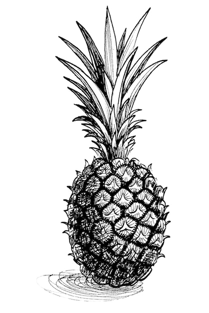 Photo un dessin en noir et blanc d'un ananas.