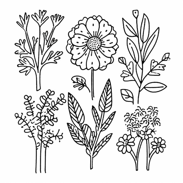 Un dessin noir et blanc de fleurs et de feuilles AI générative