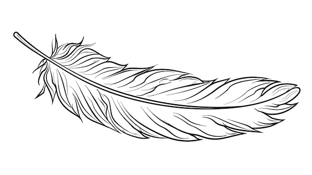 Photo un dessin en noir et blanc d'une plume
