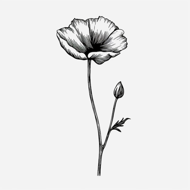 un dessin en noir et blanc d'une seule fleur sur une tige ai générative