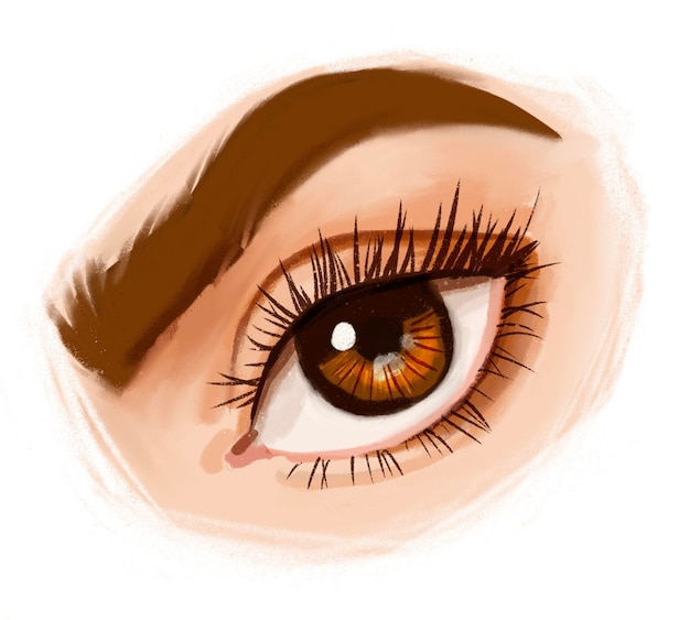 Dessin numérique dessiné à la main de l'oeil de la fille Stock illustration isolé sur blanc