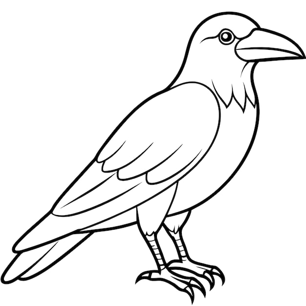 un dessin d'un oiseau avec un bec noir et un fond blanc