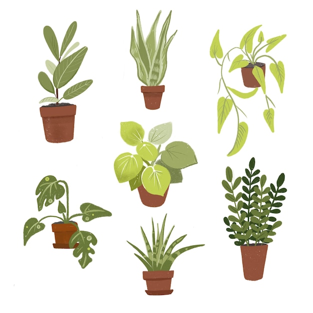 Un dessin de plantes en pots dont un qui dit " aloès ".