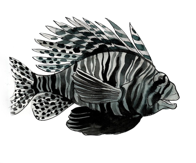 Un dessin d'un poisson avec des rayures noires et blanches.