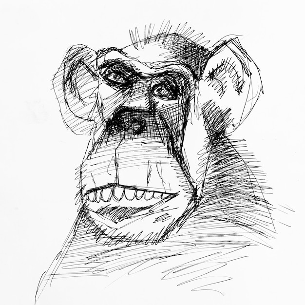 Photo dessin d'un singe dessiné à la main à l'encre noire sur un portrait en gros plan blanc