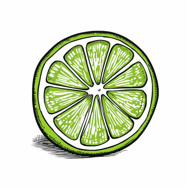 dessin d'une tranche de citron vert avec un fond blanc ai générative