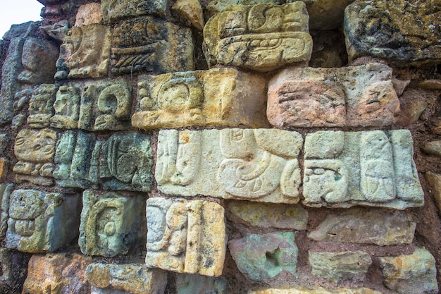 Dessins mayas dans les pierres de Copan Ruinas Honduras