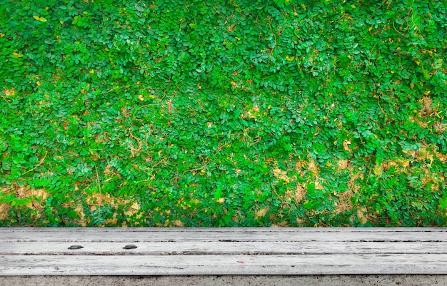 Dessus de table avec fond de plante