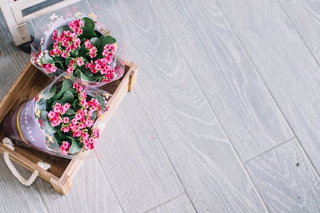 De dessus vue des pots de fleurs dans la boîte