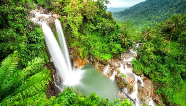 Destination de voyage d'un paysage pittoresque de cascade lors de vacances tropicales