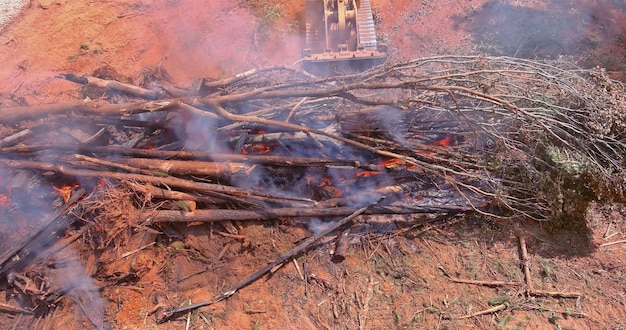 Destruction des forêts brûlage arrachage des forêts préparation nettoyage du terrain avant construction d'une maison